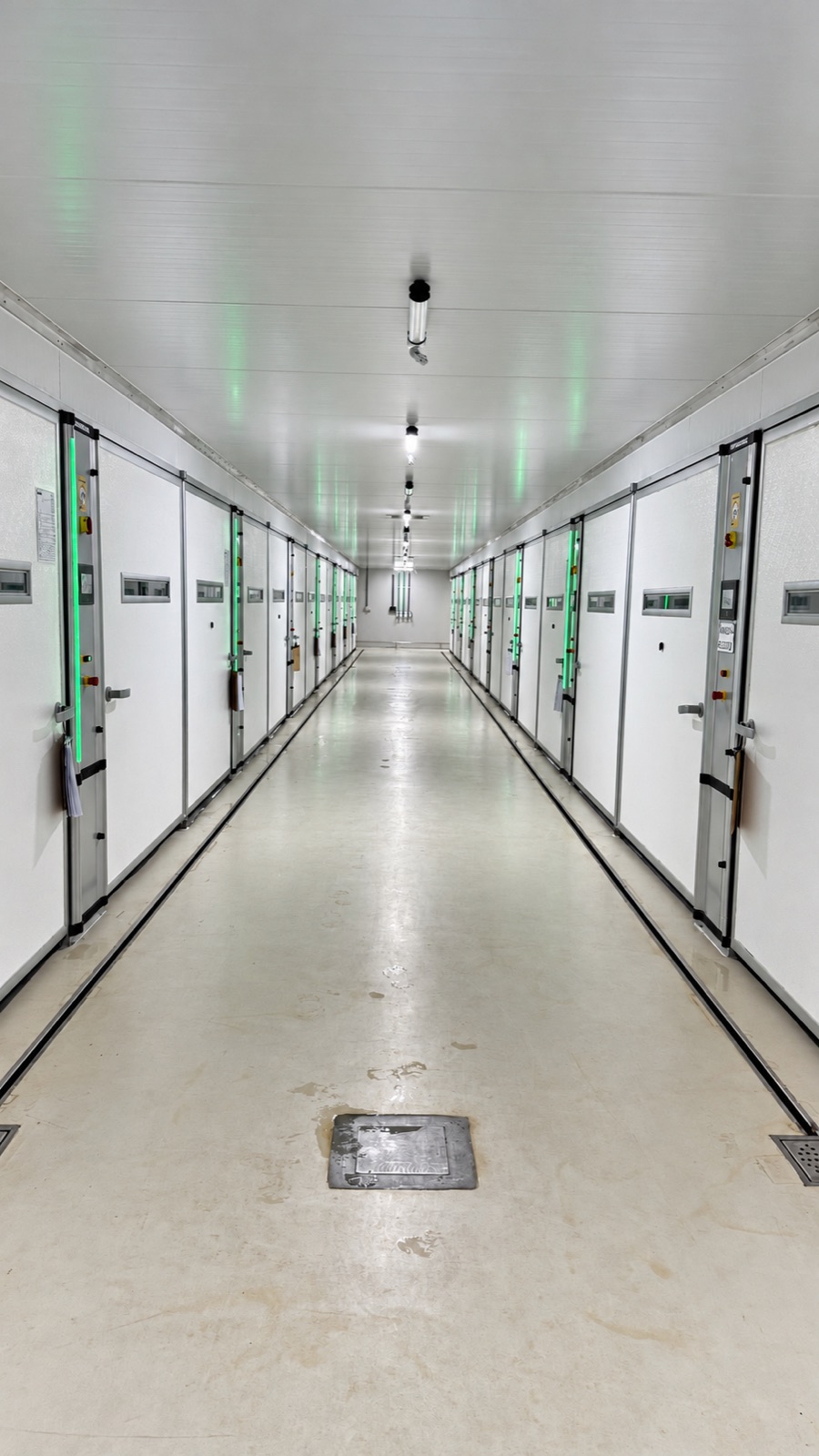 Corredor de incubatório em fotografia fornecida por Victor C. de Campos